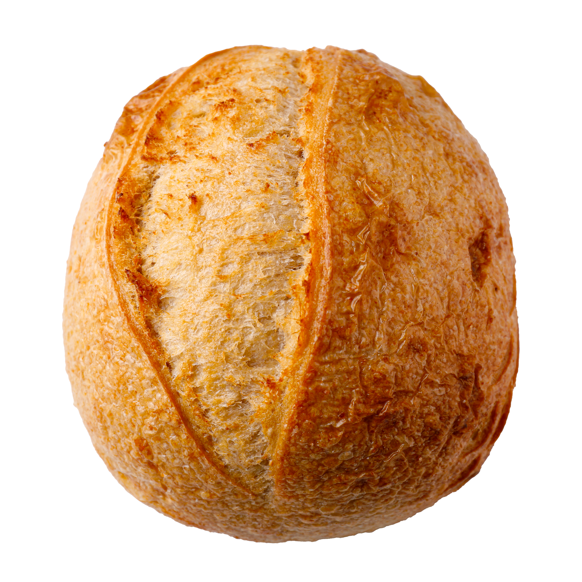 Organic Wholewheat Sourdough